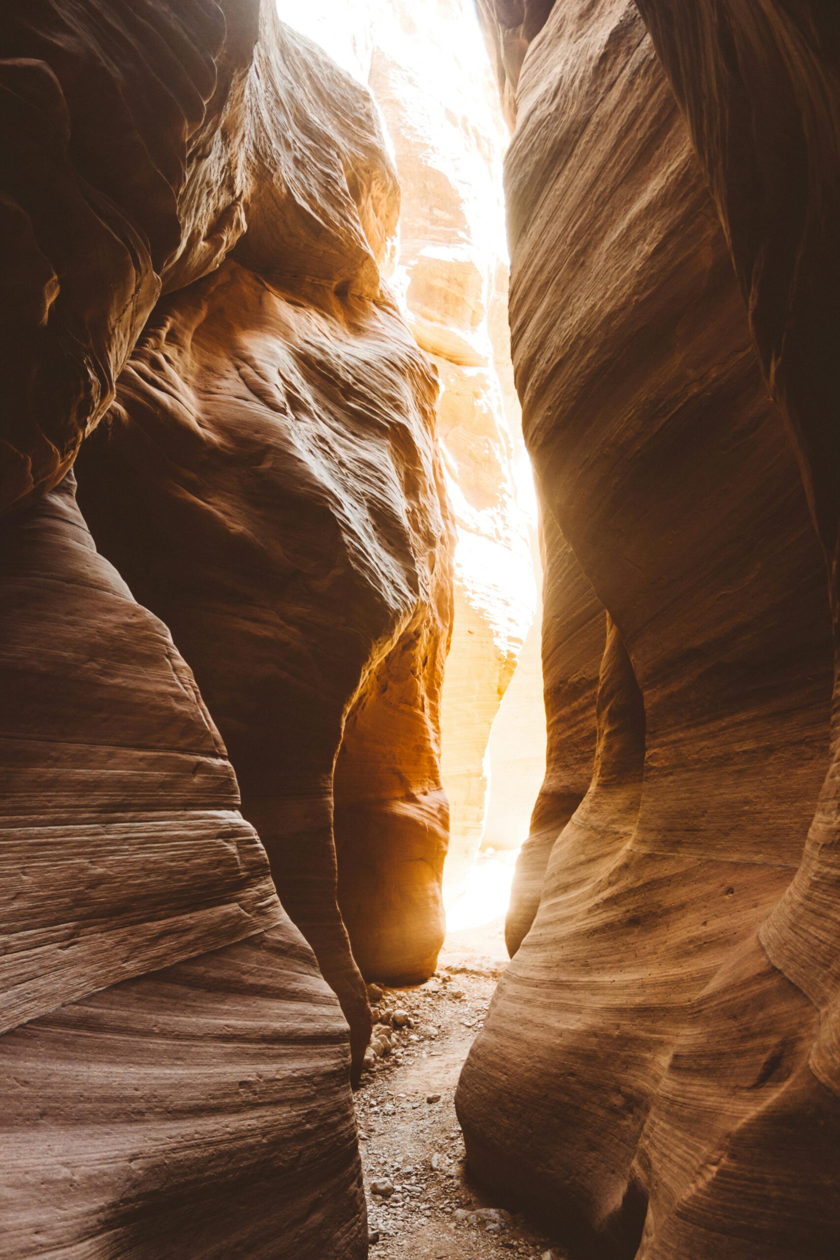 Idyllic scene of sunlight streaming through a slot canyon with smooth rock formations.